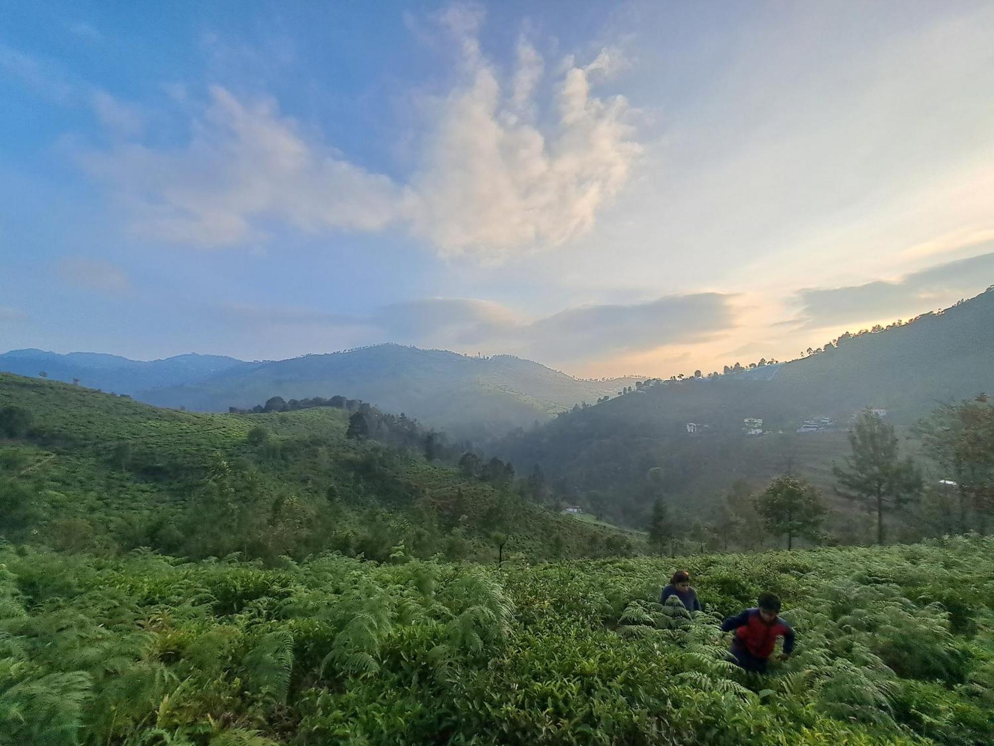 Ghar - Homestay, Where Family Lives Together Aravankadu Екстер'єр фото