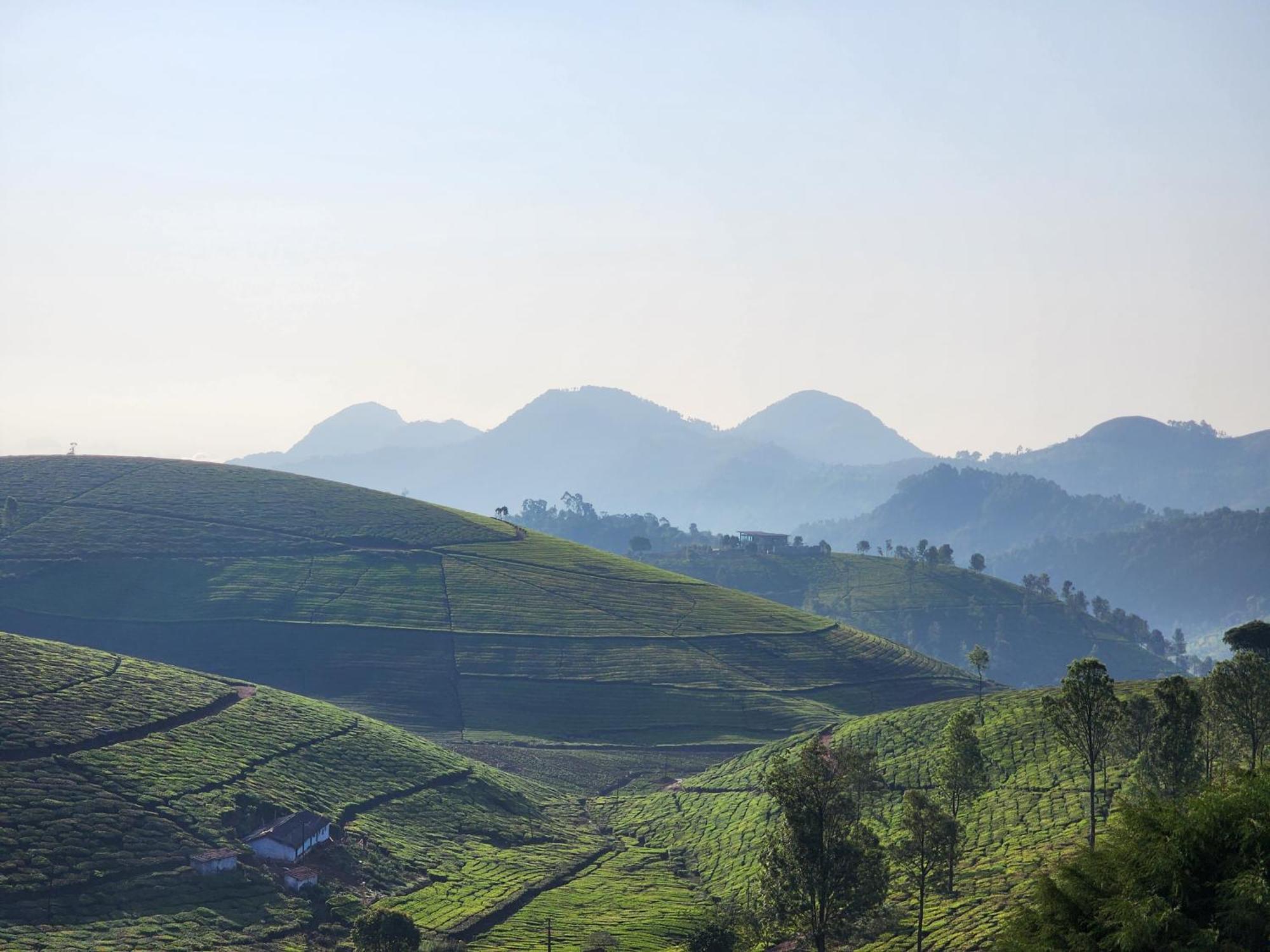 Ghar - Homestay, Where Family Lives Together Aravankadu Екстер'єр фото