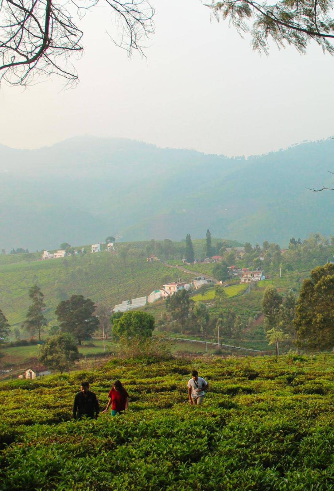 Ghar - Homestay, Where Family Lives Together Aravankadu Екстер'єр фото