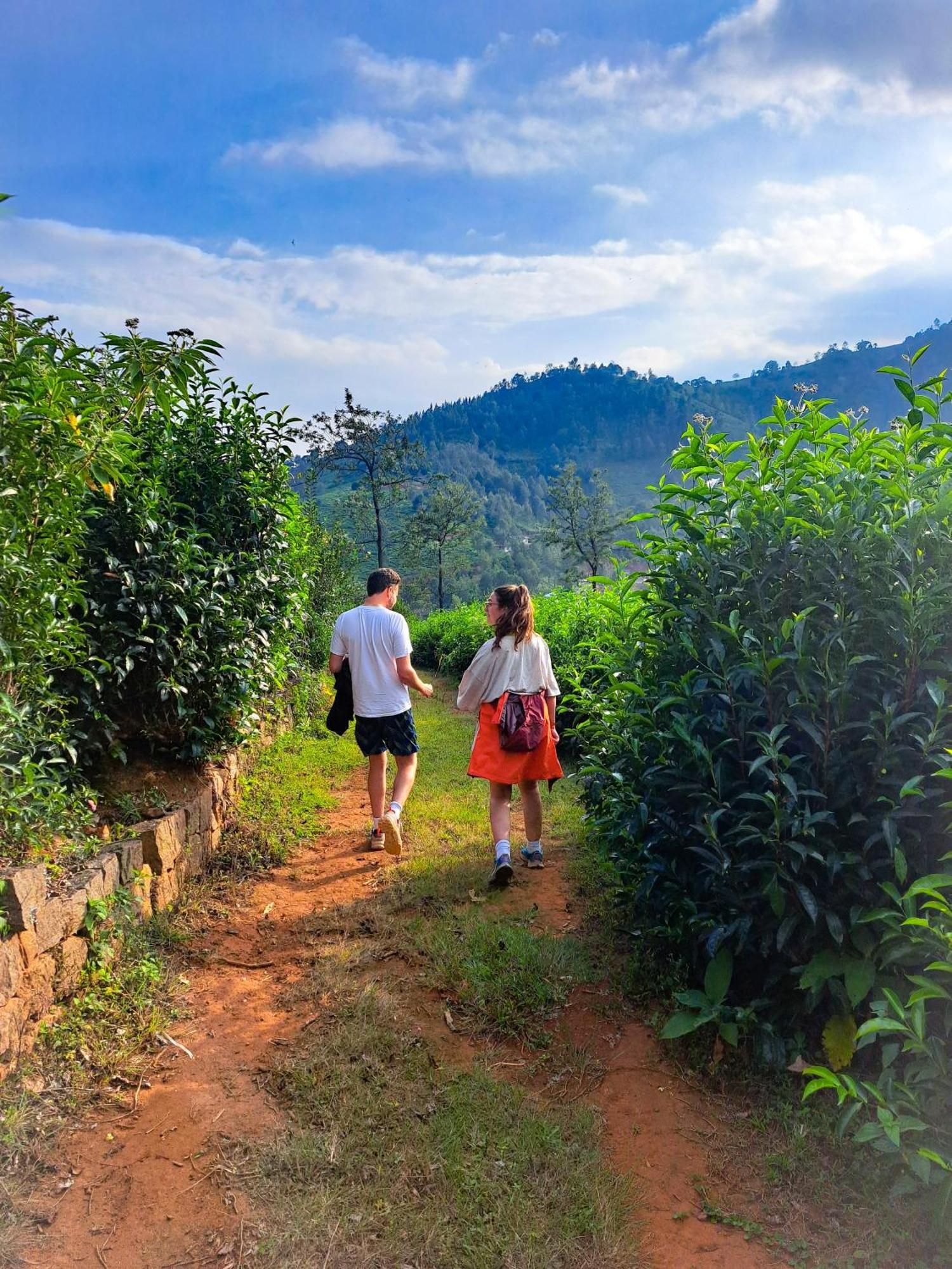 Ghar - Homestay, Where Family Lives Together Aravankadu Екстер'єр фото